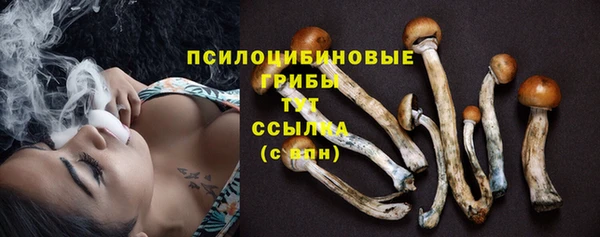 2c-b Белоозёрский
