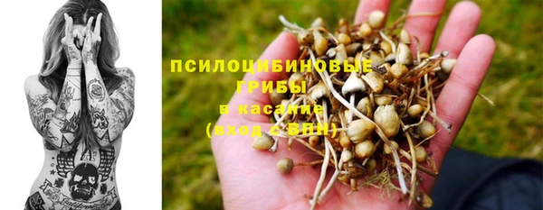 2c-b Белоозёрский