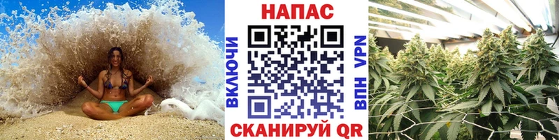 Конопля сатива  маркетплейс официальный сайт  Наволоки  где купить наркоту 